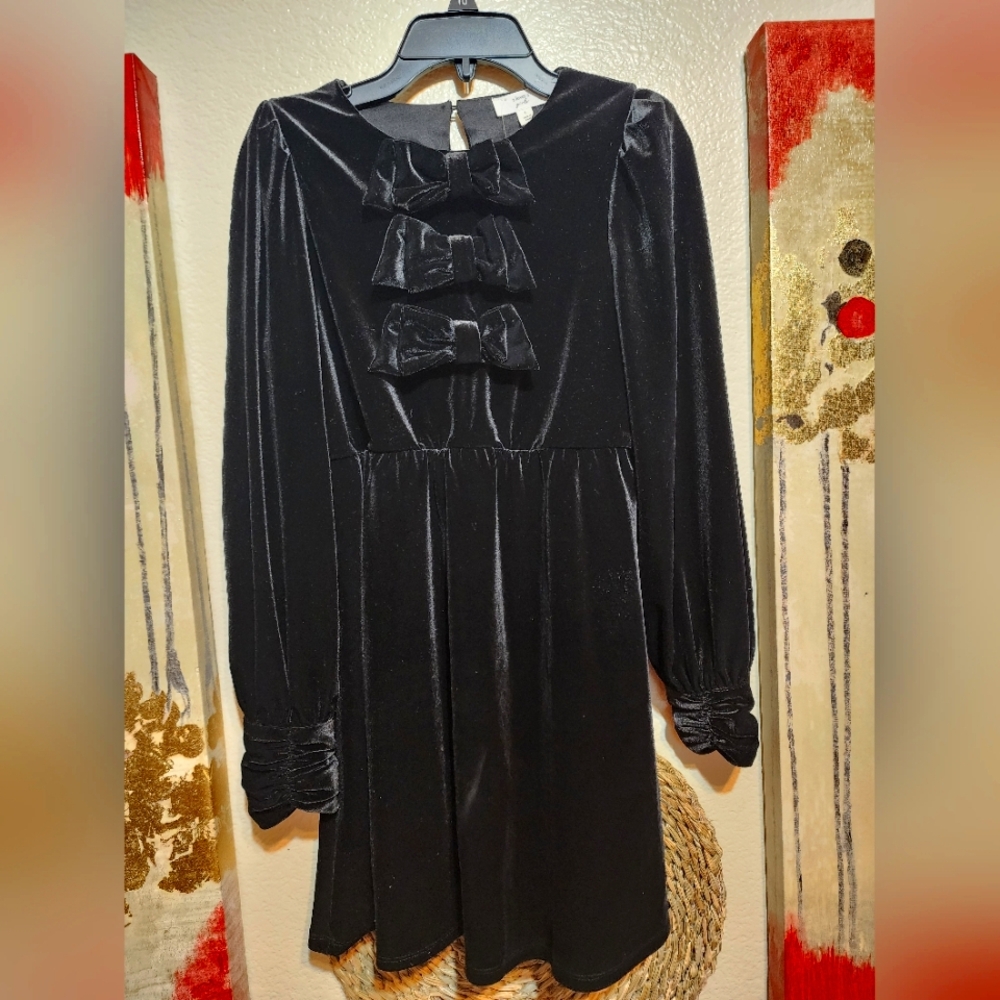 a loves a Black Velvet Dress with Bow Accents